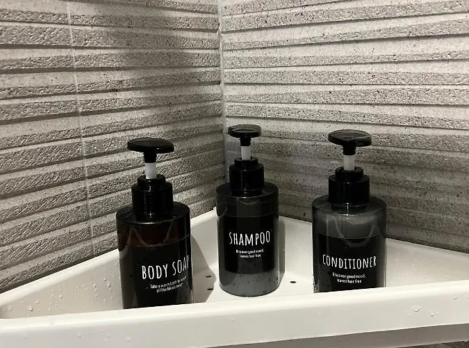 Luxury + Garage Apartment Triest